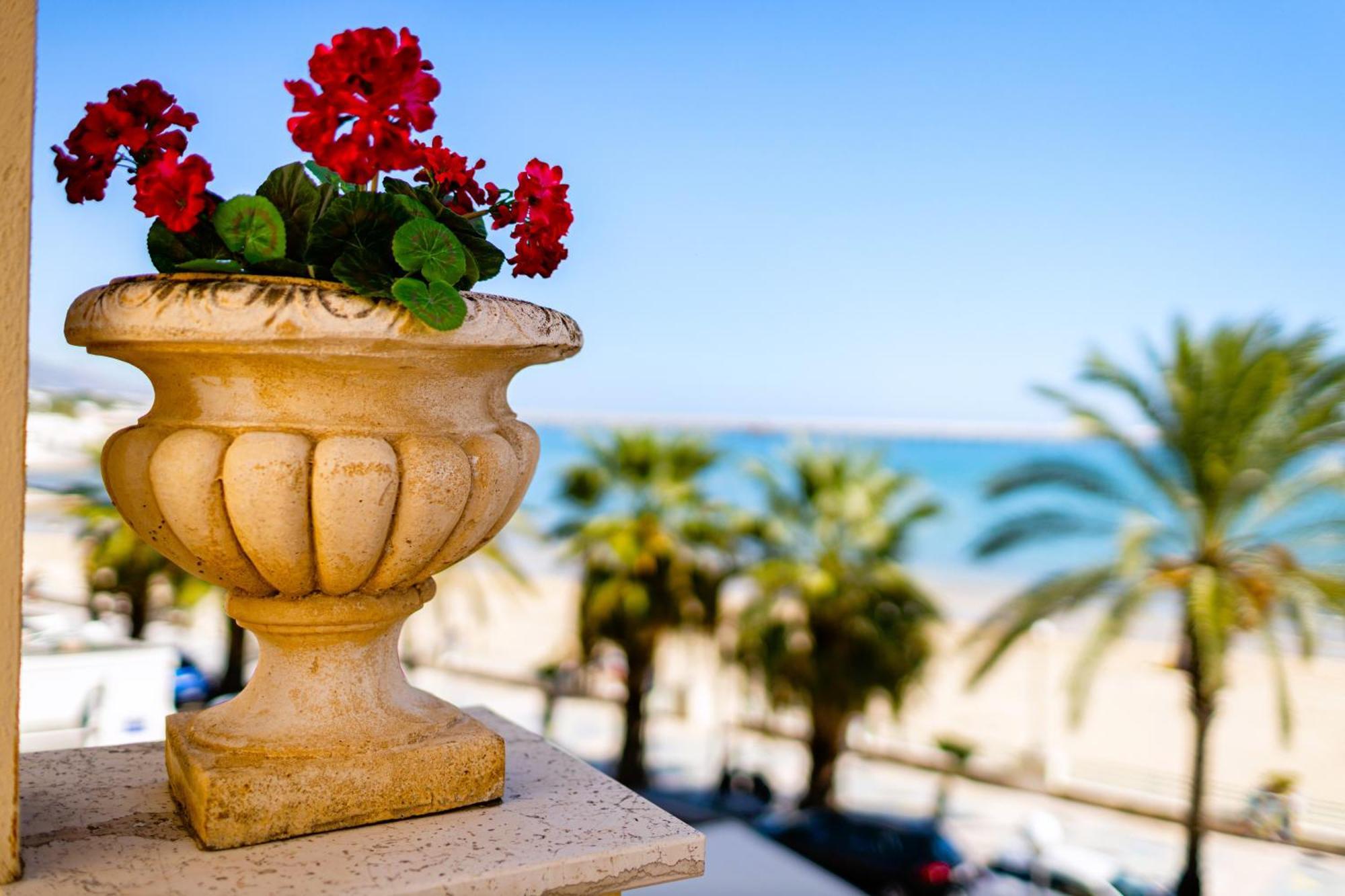דירות מנפרדוניה Mare E Castello מראה חיצוני תמונה